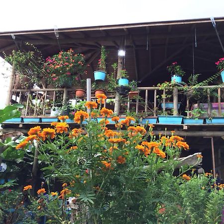 Wood House Hostel La Fortuna Luaran gambar