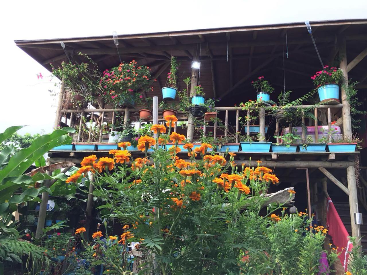 Wood House Hostel La Fortuna Luaran gambar