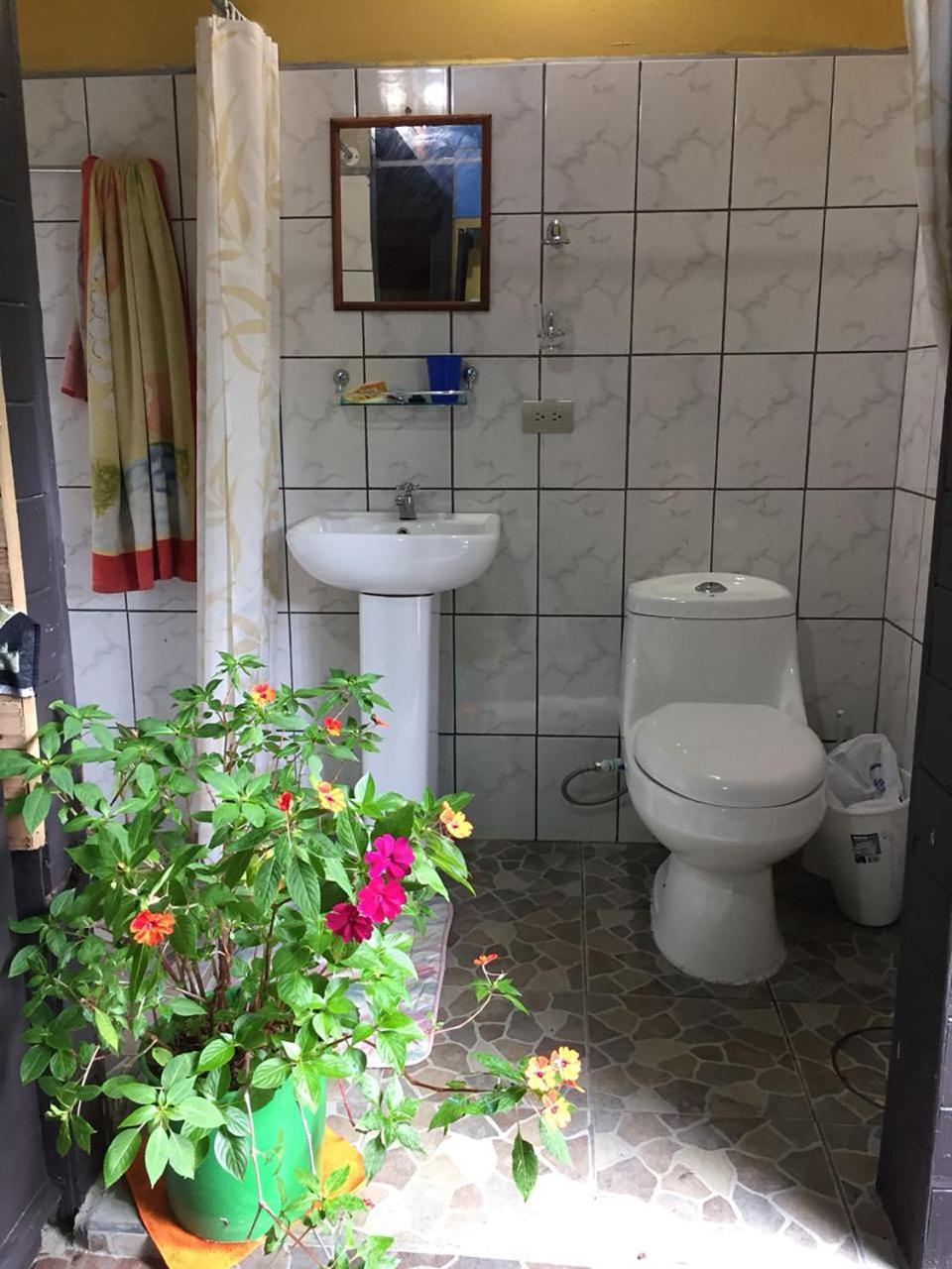 Wood House Hostel La Fortuna Luaran gambar