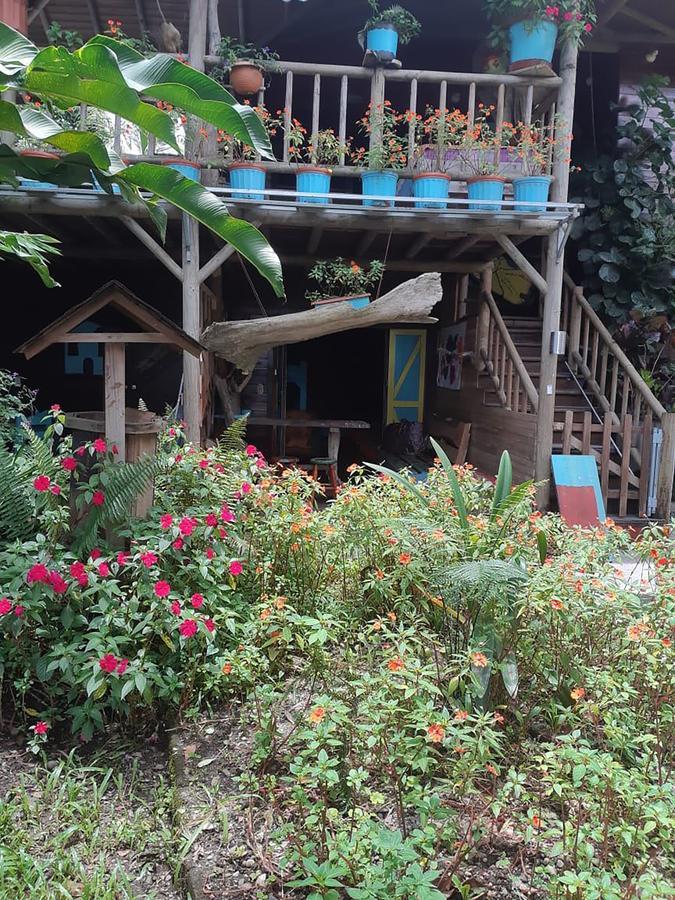 Wood House Hostel La Fortuna Luaran gambar
